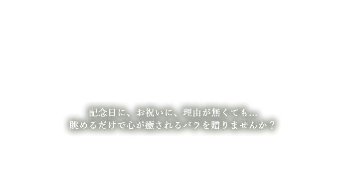 大切な人にバラを贈ろう。記念日に、お祝いに、理由が無くても...眺めるだけで心が癒されるバラを贈りませんか？